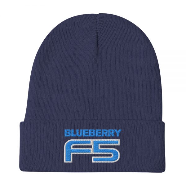 DJ Short Blueberry F5 Embroidered Beanie - Image 4
