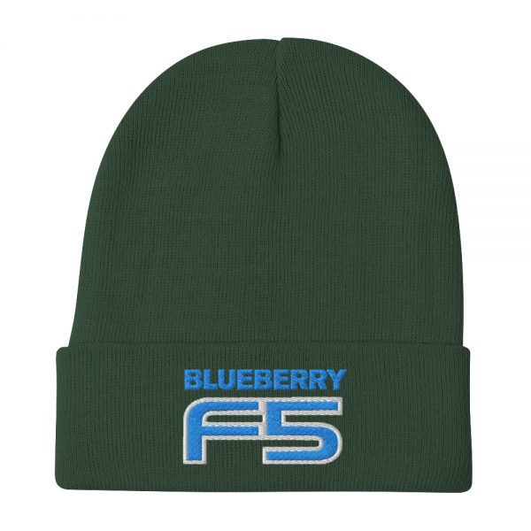 DJ Short Blueberry F5 Embroidered Beanie - Image 2