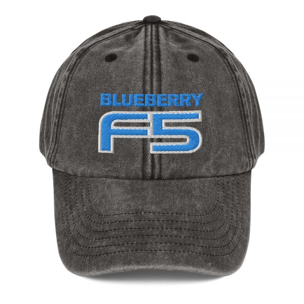 DJ Short Blueberry F5 Embroidered Vintage Baseball Cap