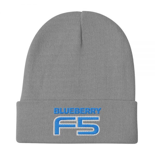DJ Short Blueberry F5 Embroidered Beanie - Image 3