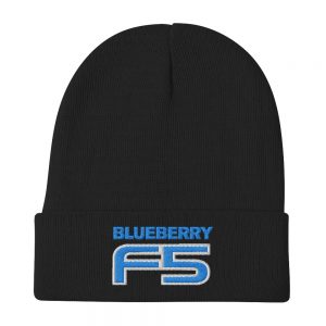 DJ Short Blueberry F5 Embroidered Beanie