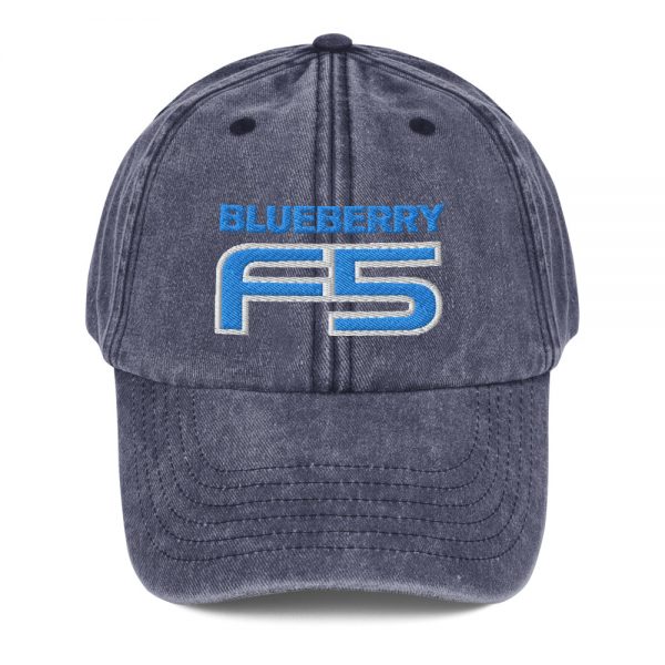 DJ Short Blueberry F5 Embroidered Vintage Baseball Cap - Image 3